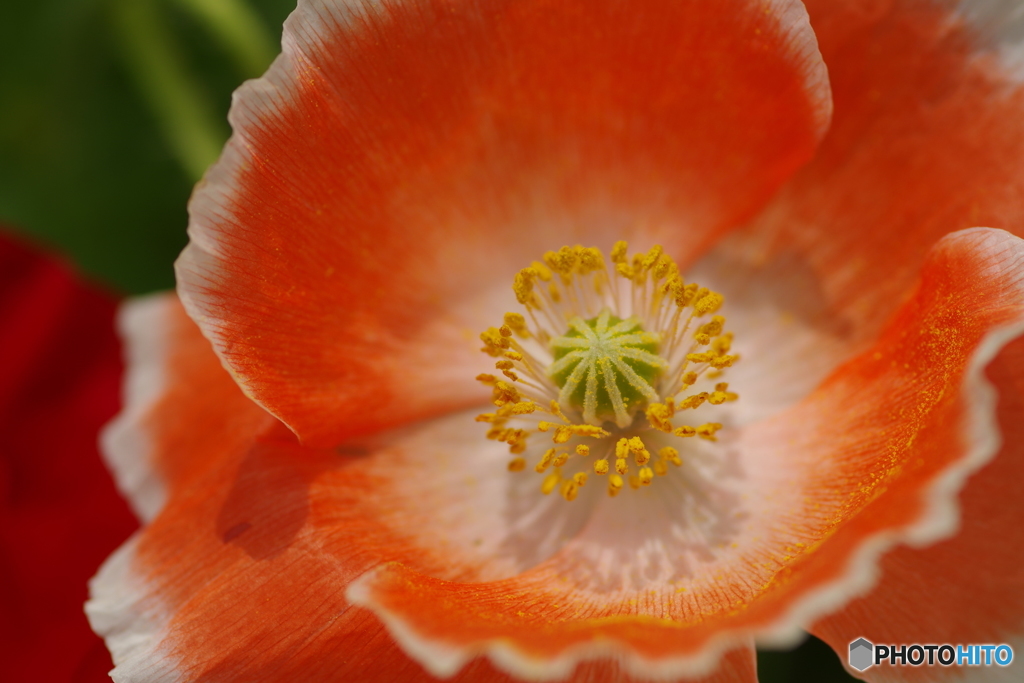 覗き込んでみた