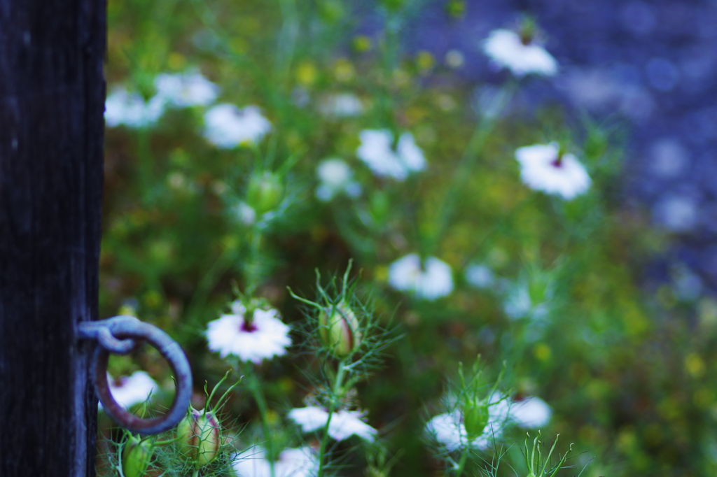 scatter