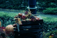 秋の装飾～果実～
