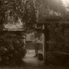 横道
