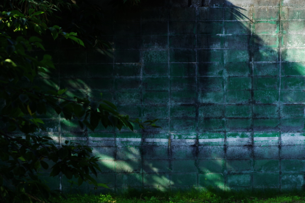 a wall of …