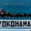 YOKOHAMA