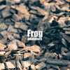 Frog adventure2