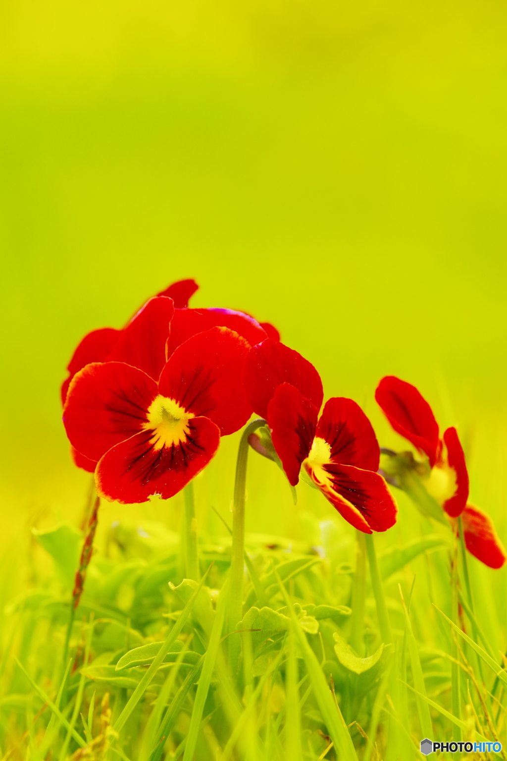 このセカイで僕たちだけ