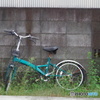 大好きだったのに・・・
