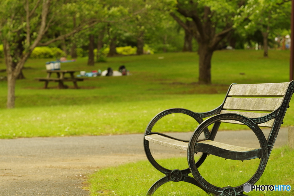 君を待つときはいつもこのベンチにいるよ
