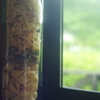 そうだ。村上春樹でも読みながらパスタを茹でよう。