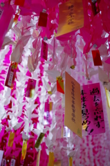 仙台七夕2