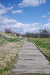 道