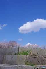 良いお天気