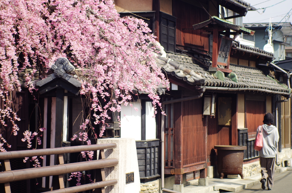 桜と古都風景2