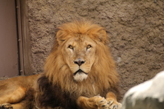 円山動物園にて