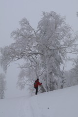 朝里岳ＢＣスキー(名誉の撤退)