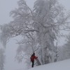 朝里岳ＢＣスキー(名誉の撤退)