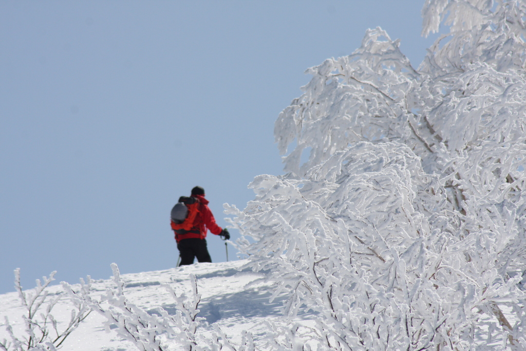 北海道　山スキー２０１６　白井岳