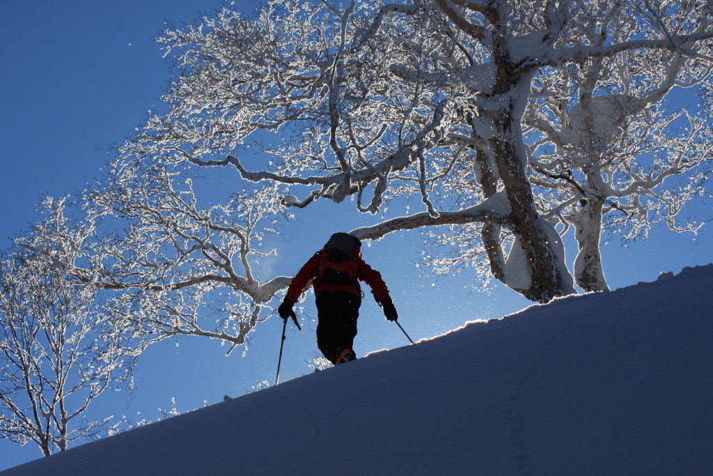 北海道　山スキー２０１６シーズン