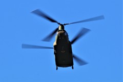 チヌークヘリコプター訓練飛行