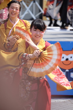 よさこい祭り２０１６