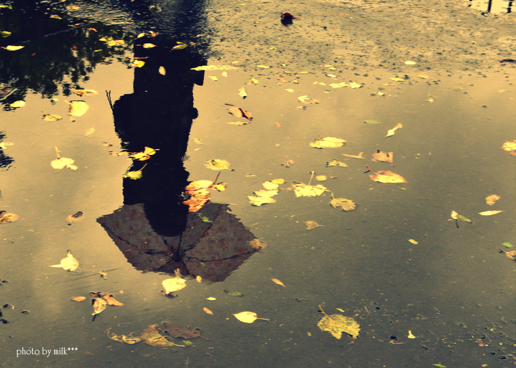 puddle