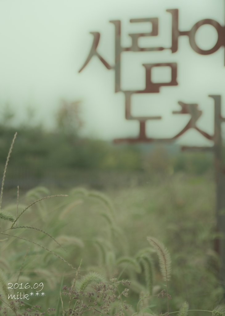 終着点