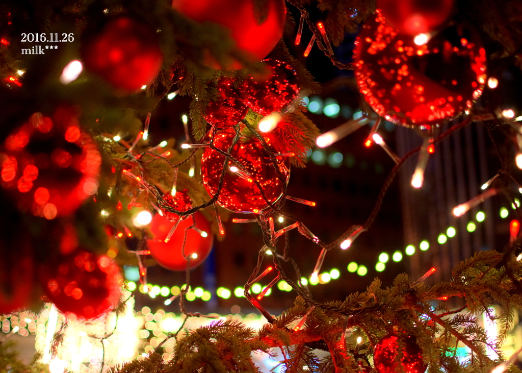 ＲＥＤ　TREE ★
