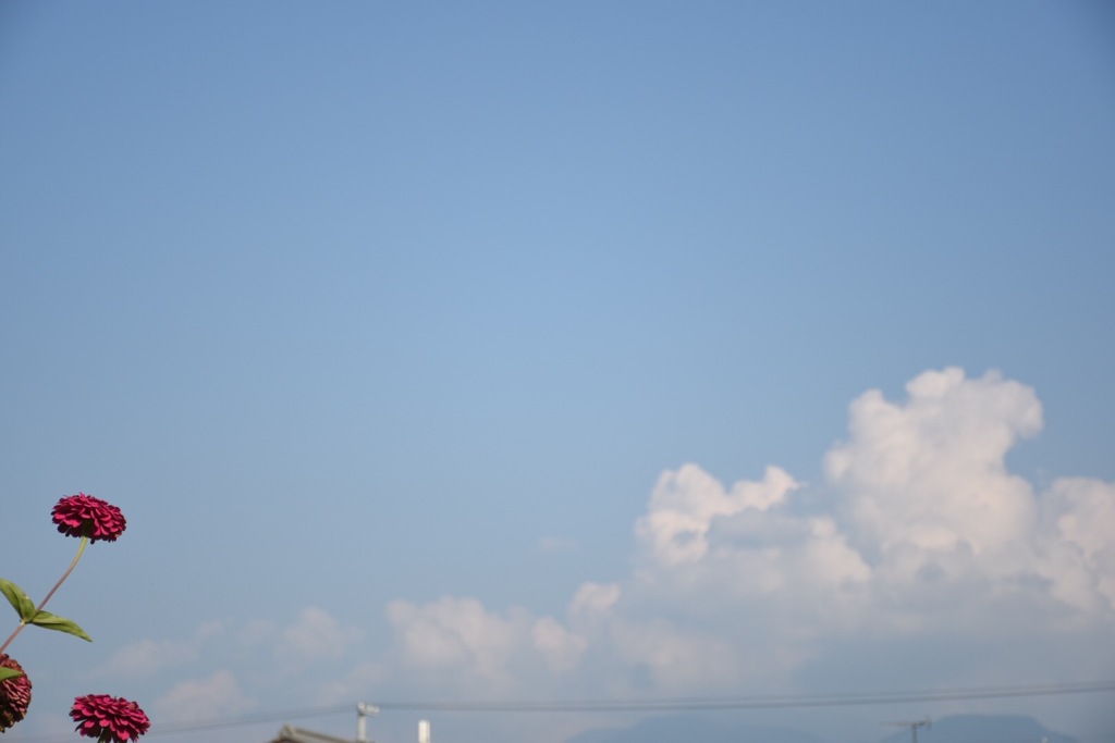 夏の雲