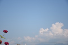 夏の雲