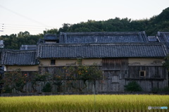 板壁の家　秋