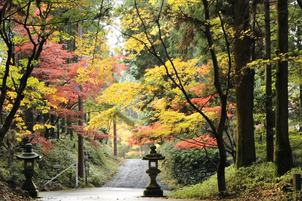 深山の秋