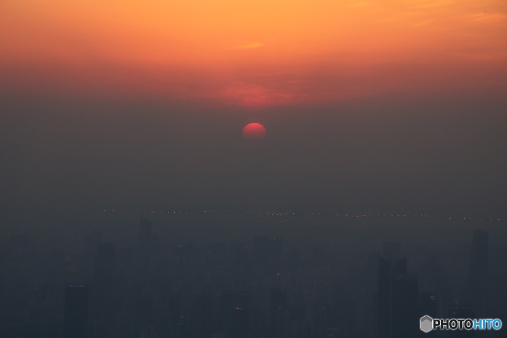 上海夕日