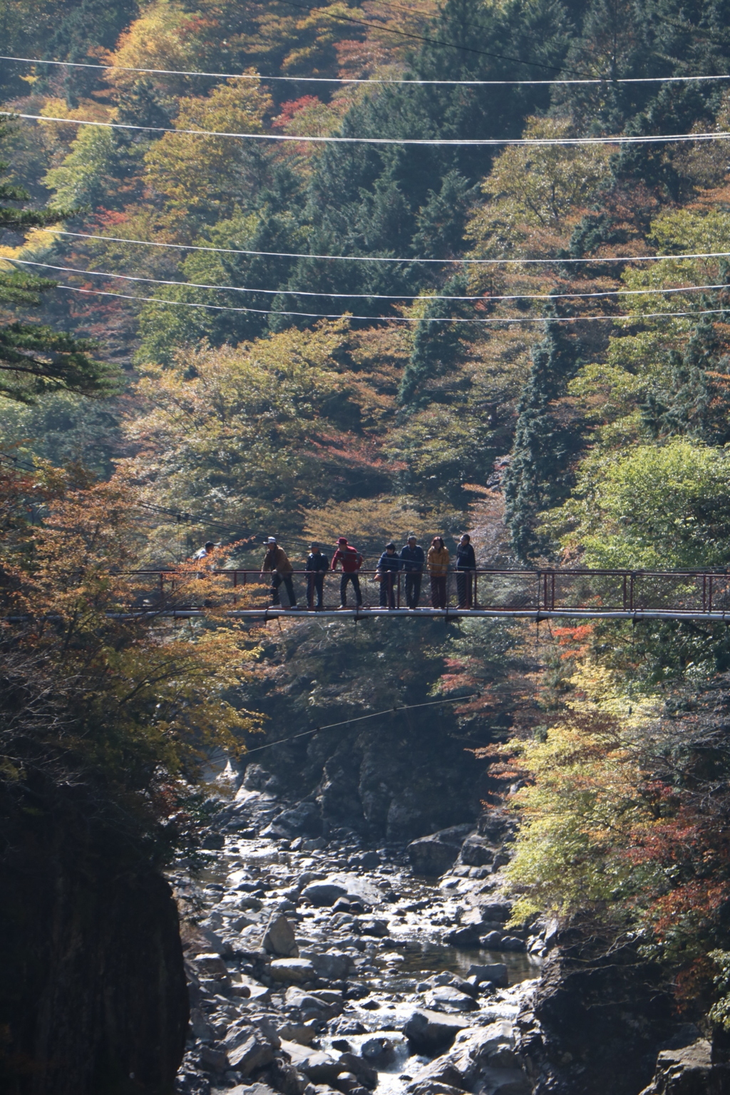 渓谷の秋を堪能する