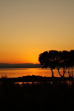 淡海夕景