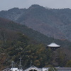 小雪舞う當麻