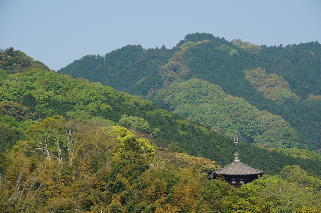 碧に埋もれる