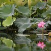 夏の静寂２