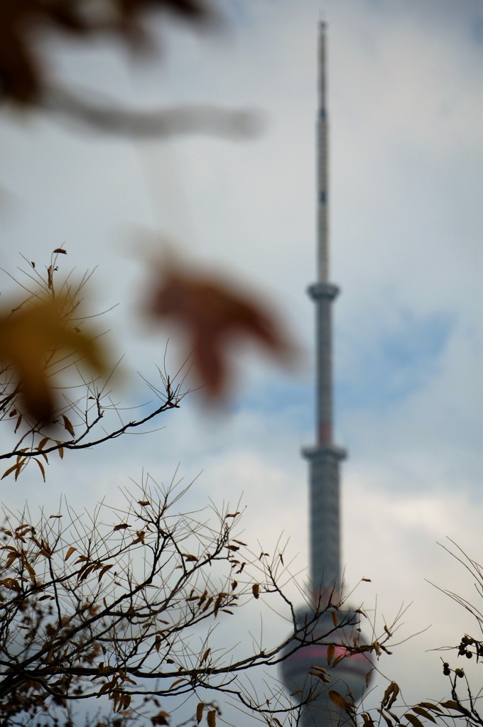 冬空上海