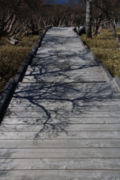 遊歩道