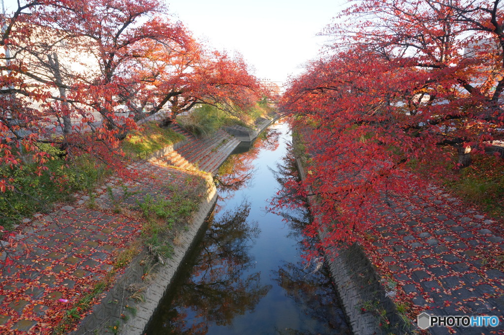 晩秋、高田川