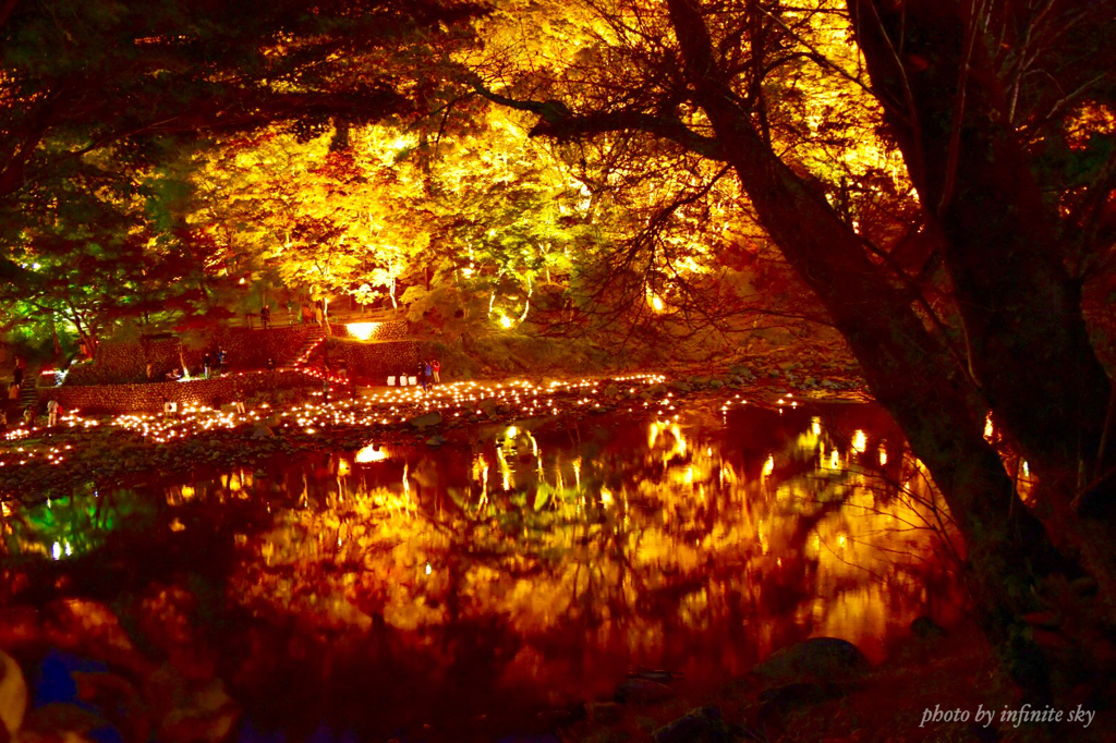 autumn colours