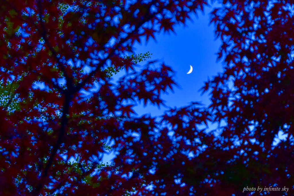 秋の夜空