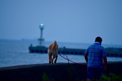 海風が心地いい