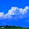 The summer clouds