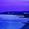 日没
