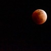 Super Blue Blood Moon 