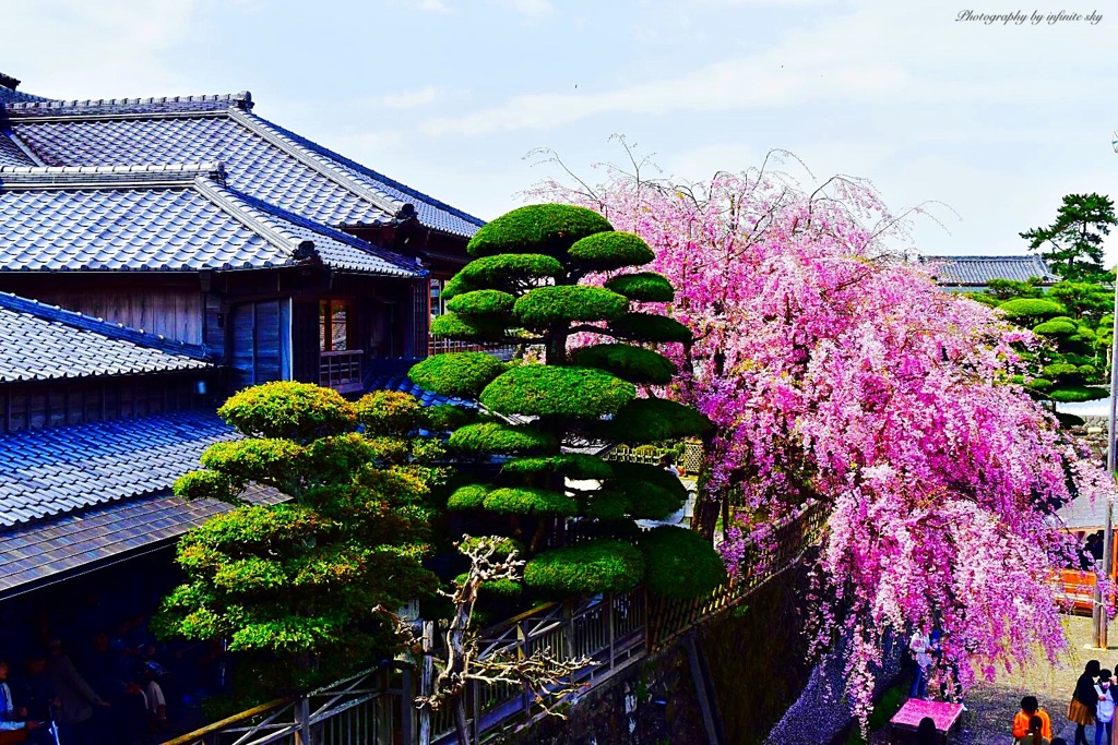 日本の風景