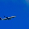 ANA   “FLOWER JET”