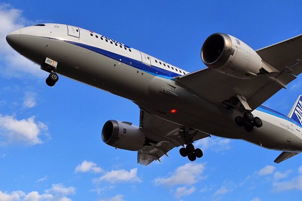 787✈︎