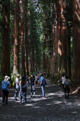 戸隠神社参道