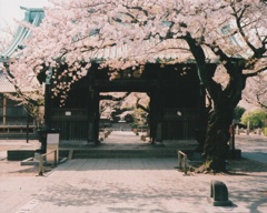 祐天寺