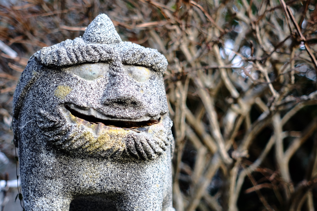 今年もよろしくお願いします。